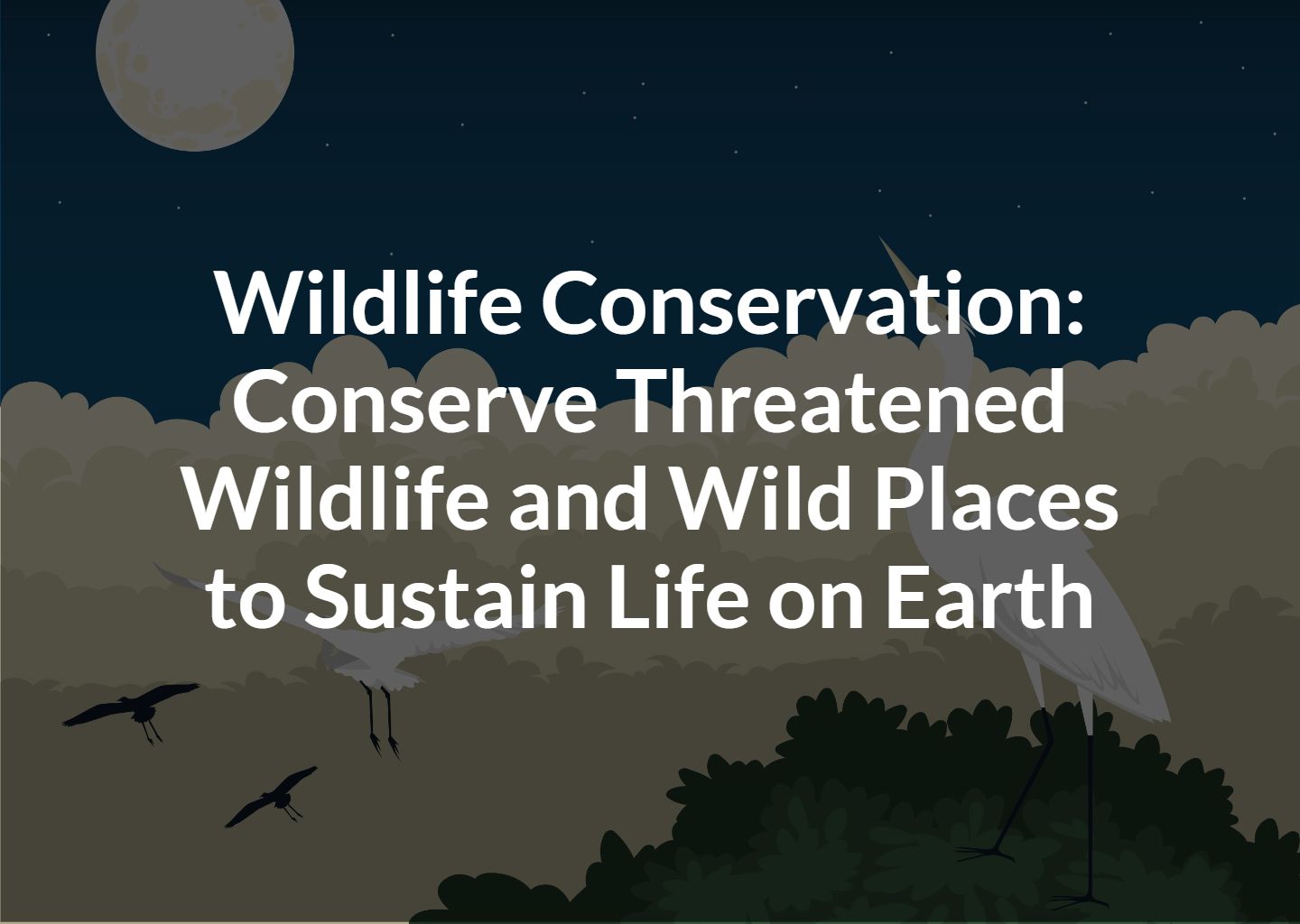 Wildlife Conservation: Conserve Threatened Wildlife and Wild Places to ...